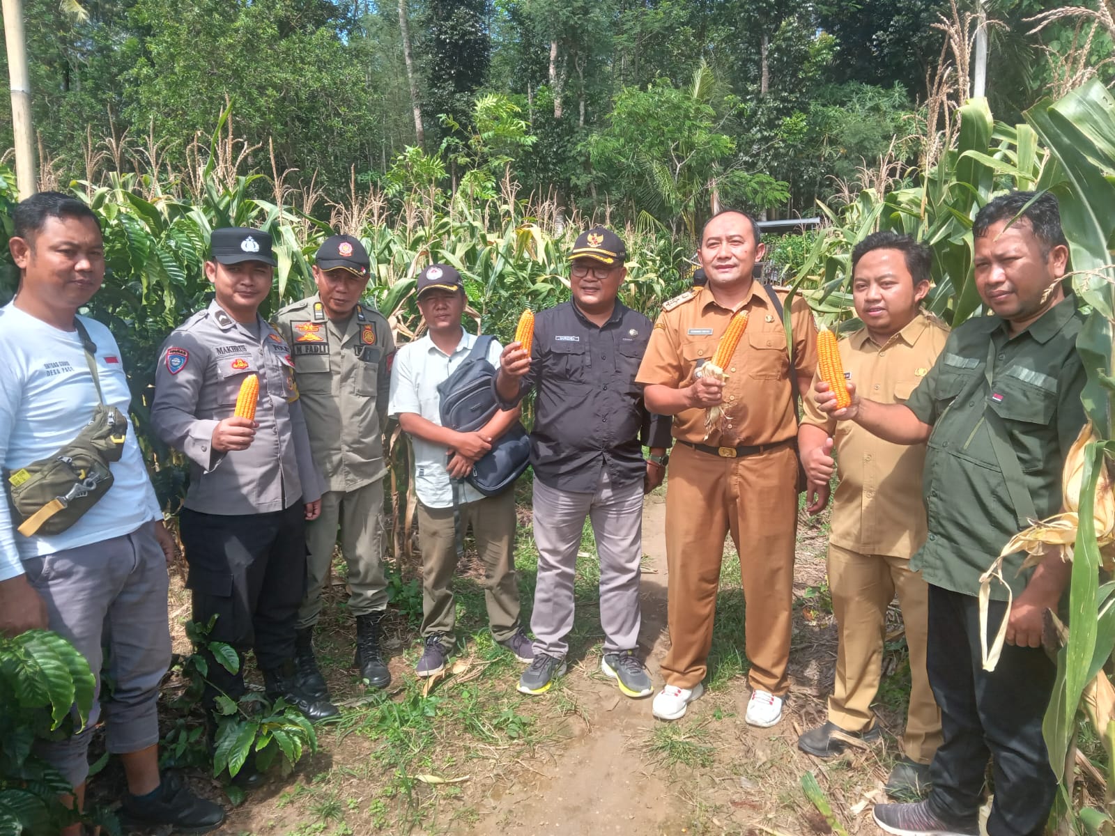 Laksanakan Penanaman Jagung, Bumdes Mandiri Sejahtera Desa Pace Siap Dukung Program Ketahanan Pangan Nasional